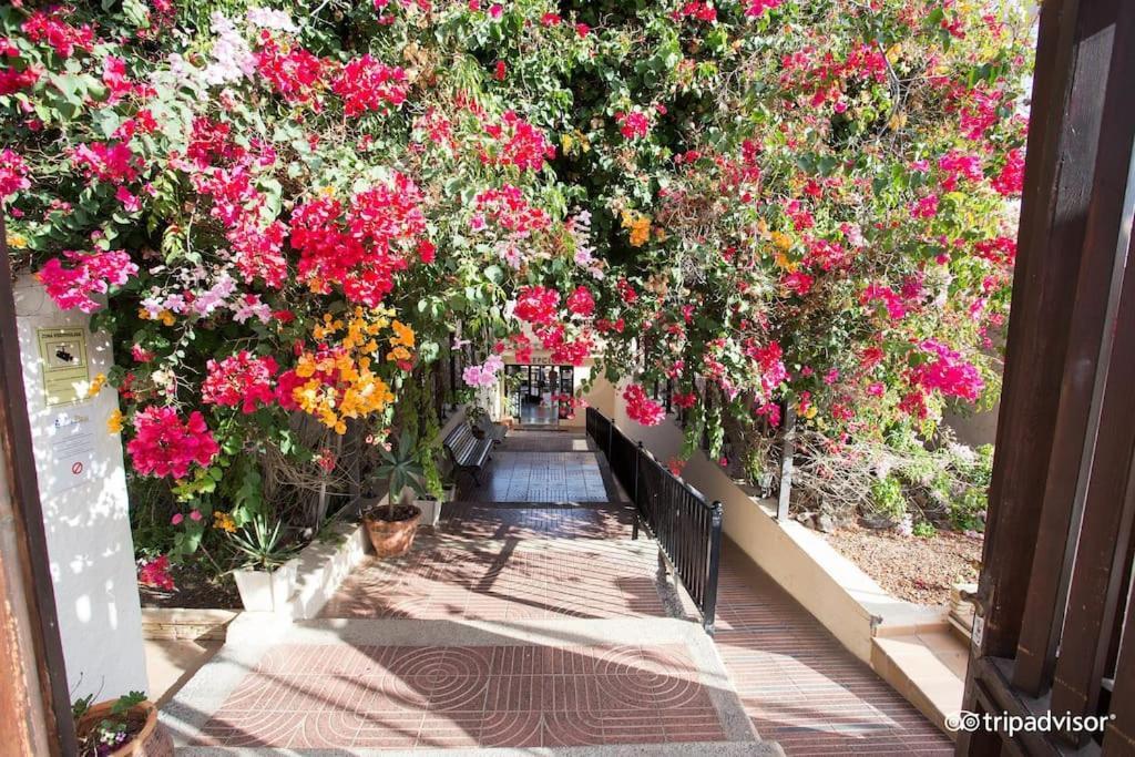 Corralejo Suite Pool & Gardens - Alisios Playa Eksteriør bilde