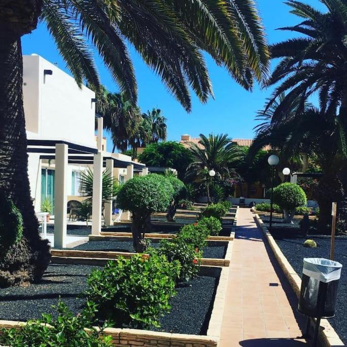 Corralejo Suite Pool & Gardens - Alisios Playa Eksteriør bilde